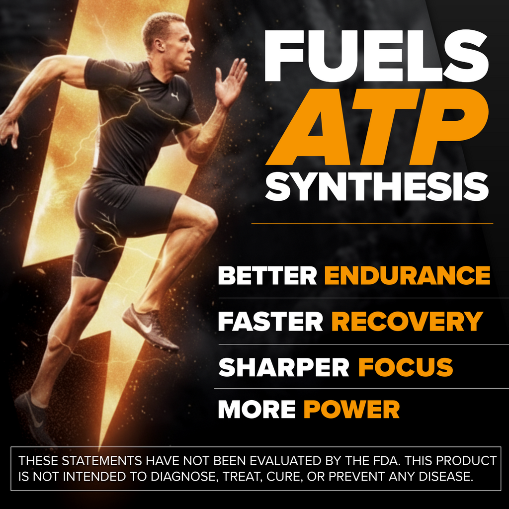 Pure Himalayan Shilajit Honey Sticks | Raw Organic Honey | Immune Support & Energy Boosts | 85+ Trace Minerals & 75% Fulvic Acid | 30 Easy to Consume Pure Shilajit Honey Sticks